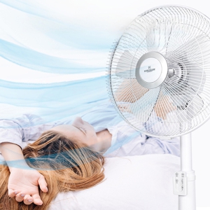 5�� ���� �������� ���ٵ� ��ǳ��