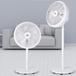 7�� ���� �¼�&���ĵ� ��� ��ǳ��