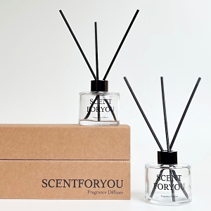 FINE ��Ʈ���� ��ǻ�� 120ml 2����Ʈ D2