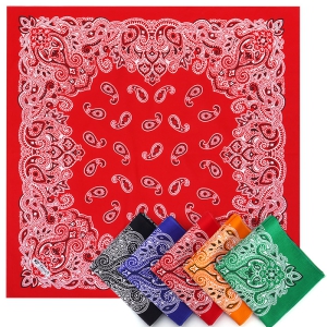 ������ ��ī�� �ռ���