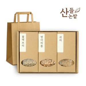 ������ ������� 3����Ʈ