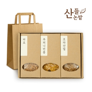 ������ ���� 3����Ʈ