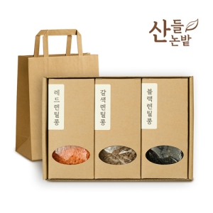 ������ ��ƿ�� 3����Ʈ