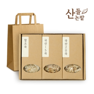 ������ ����ȥ�� 3����Ʈ