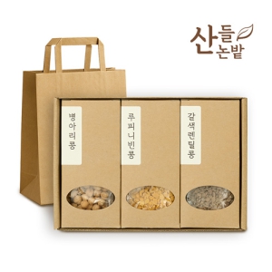 ������ �����̾��� 3����Ʈ