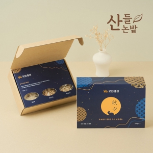 ������ ����ȥ�� 3����Ʈ+������Ű��