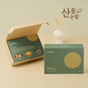 ������ �����̾��� 3����Ʈ+������Ű��