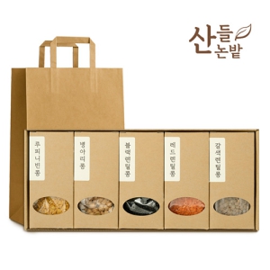 ������ �����̾��� 5����Ʈ