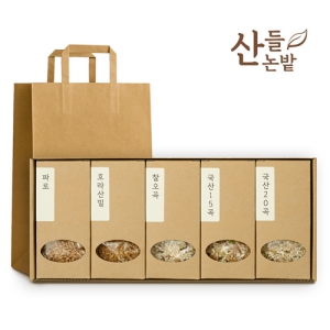 ������ �ǰ�ȥ�� 5����Ʈ