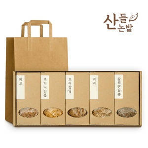 ������ ���� 5����Ʈ