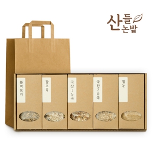 ������ ����ȥ�� 5����Ʈ