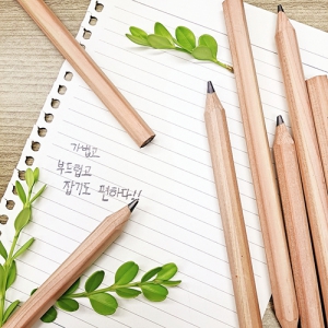 incolor �⳪�� �������� (2B)