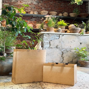 �������� ���������� ����, ����