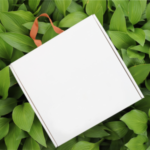 ������ �����ڽ�