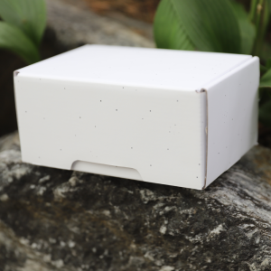 �������� ����Ʈ���� ���̽�(C�� �����ڽ�)