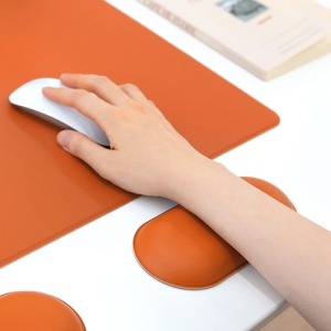 ���콺 �ʷ���Ʈ �ո� ��ħ��