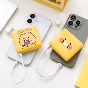 [īī��������] ����� �������� �̴� �������͸� 10000mAh 2��