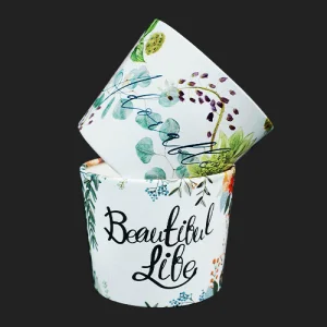 ��ƼǮ 2�� ����Ȧ�� (1�ڽ�/500����)