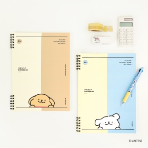 [��Ƽ��] B5 2���� ������ ��Ʈ