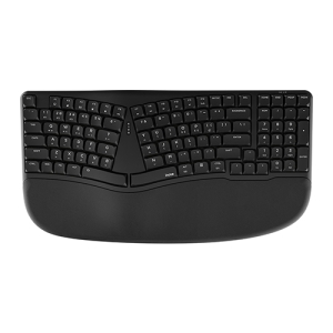 ���̳�Ʈ ��ü���� ���� ������ ���� ���ο� Ű���� NK909RB