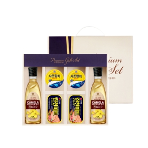 �Ե� ����� ���� 17ȣ