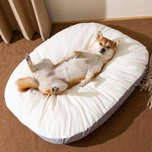 ���� ������ ������ �漮 ������ ������ ����