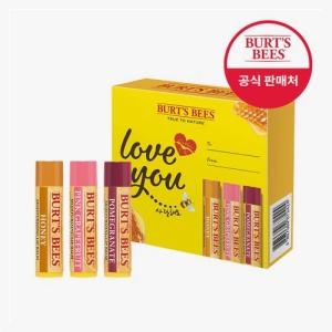 ������ ������ ��Ʈ