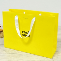 ���̼��ι�_ĳ�ý����̵� (340x110x250mm) | ���˹� ����