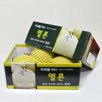 Į�� ���� �ڽ�_���� (400*250*200mm) | ���˹� ����