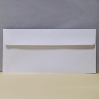 �⼺ ���Ϻ���(����) (105*220mm) | ���˹� ����