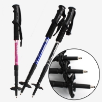 �н��� 4�ܵ�꽺ƽ | ���˹� ����