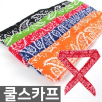 ��ī�� ������ | ���˹� ����