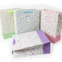 ���̼��ι� ���� �پ��� ������ | ���˹� ����