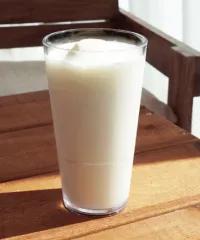 [Ƽ��ī��] �������� ��Ƽ��19 (SAN) 560ml | ���˹� ����