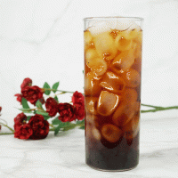 [Ƽ��ī��] �������� ��Ʈ����Ʈ��19 (������) 550ml | ���˹� ����