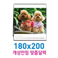 [����-�ֹ�����]Ź��180x200ī���� | ���˹� ����