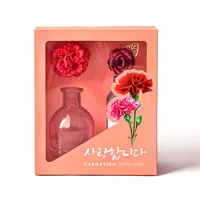 �̽�ƽ�浥�� ������Ʈ��Ʈ DMS-2102 | ���˹� ����