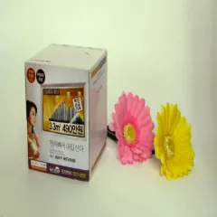 ���簢Ƽ�� 70�� | ���˹� ����