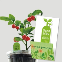 �丶�� ���彺ƽ ī���� | ���˹� ����