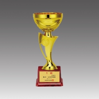 �ö�ƽ �� Ʈ����(�ǿ�����)_G6019-C | ���˹� ����