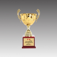 ���¸� ������(Ŭ������)_G6204-C | ���˹� ����