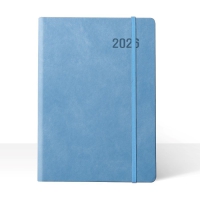 ���� 25�� ���� �Ľ��� ���� ���̾ | ���˹� ����