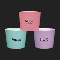 ���� 3�� ����Ȧ�� (1�ڽ� 500����) | ���˹� ����