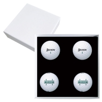 ������ Ʈ���̽�Ÿ 4�� ���� �ιٸ����̽� | ���˹� ����