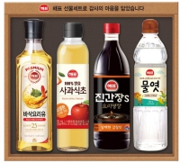 ������ǥ �Ƚ�Ư�� V11ȣ | ���˹� ����