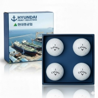 [����]Ķ������ CXR��Ʈ�� 4����Ʈ | ���˹� ����