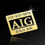 �����Ľ�ƼĿ(AIG) | ���˹� ����