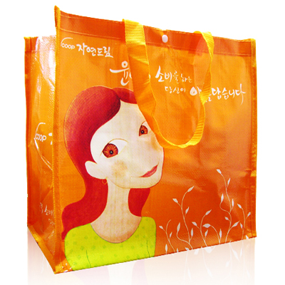 �ڿ��帲 Ÿ�������ι� (380x260x370mm)