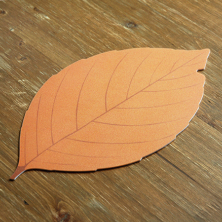 ��ǻ�Ϳ�ǰ ���콺�е� ���콺�е� �⼺ǰ ��������_��������� (310*177mm) ��ǰ ����