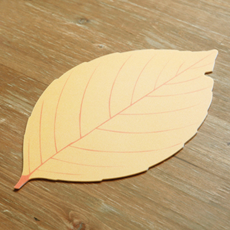 ��ǻ�Ϳ�ǰ ���콺�е� ���콺�е� �⼺ǰ �������_��������� (310*177mm) ��ǰ ����